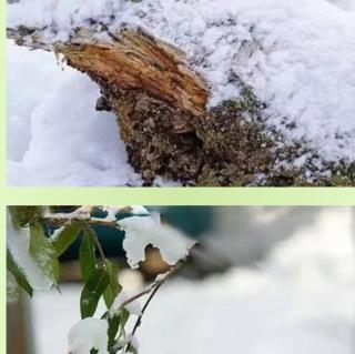 瑞雪兆丰年，好运相伴