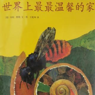 12.8《世界上最最温馨的家》