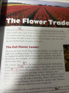 the Flower Trade
