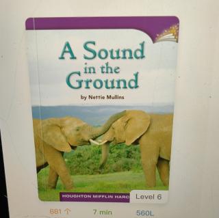 A Sound in the Ground
