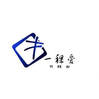 一稞爱口才睡前故事《杜林与古文经学》