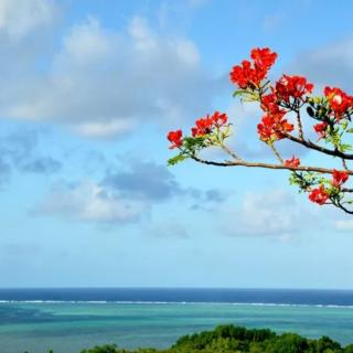 面朝大海 春暖花开