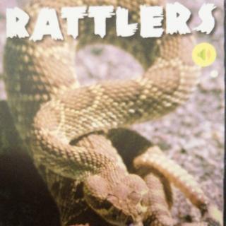 《razR Rattlers》