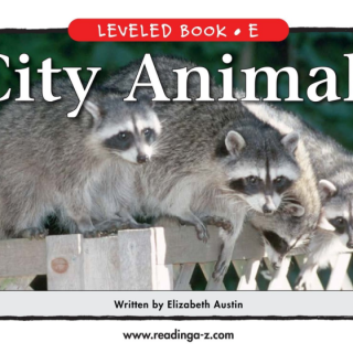 【RAZ-E】City Animals 讲解