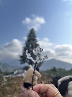 72.祛除灵魂中的杂草