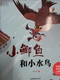 小鲫鱼和小水鸟