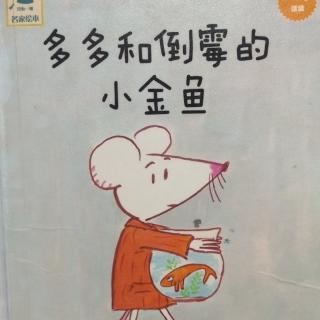 《多多和倒霉的小金鱼》