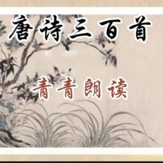 唐诗300/134 赋得暮雨送李曹 韦应物