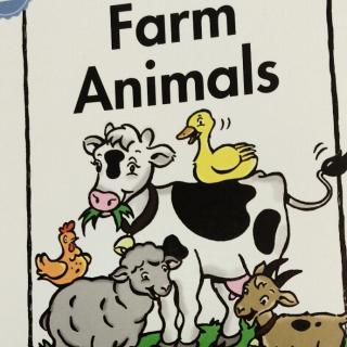 aa~1 farm animals