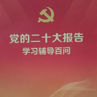 《党的二十大报告》王毅