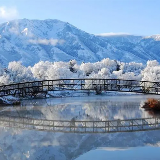 11田大妥朗诵《写给弯儿》作者雪石