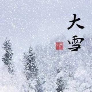 《大雪：朔风吹雪飞万里》王晓霞诵读自由飞翔