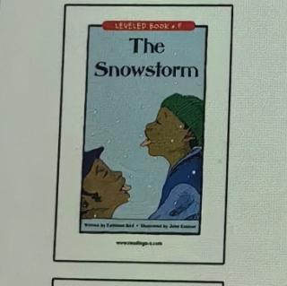 The snowstorm