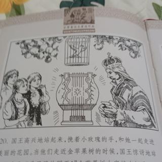 三颗金苹果树