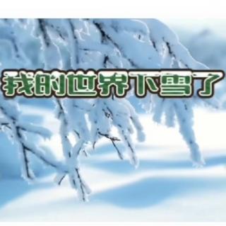 我的世界下雪了