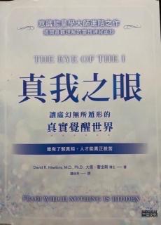 《真我之眼》49、第14章:心智、身体与社会（问答）