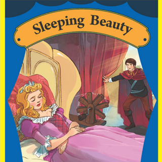 Sleeping Beauty(Review)