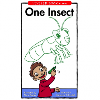 One Insect