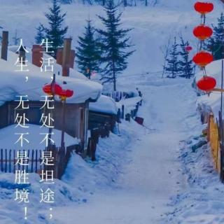 《立冬：北风潜入悄无踪》作者：王晓霞