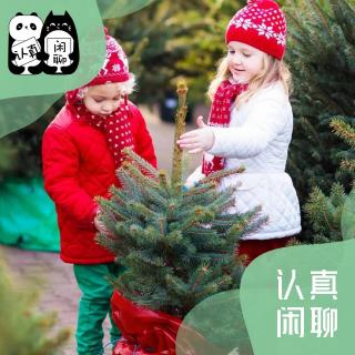 Vol.105【认真闲聊】揭秘：塑料圣诞树和真的圣诞树哪个更环保？