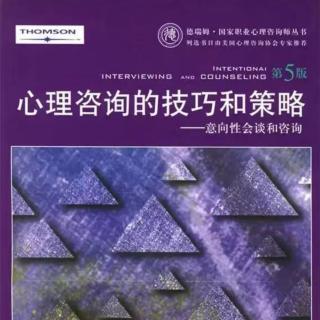 第13章 整合会谈微技巧与理论 第380-385页（来自FM293850151）