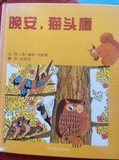 晚安，猫头鹰🦉