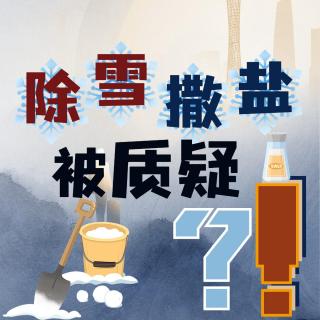 “大雪撒盐”被质疑！？希望退出历史舞台？其他国家怎么“除雪”？