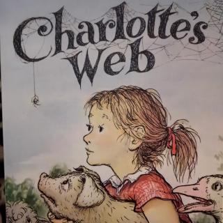 Charlotte's web 泛读