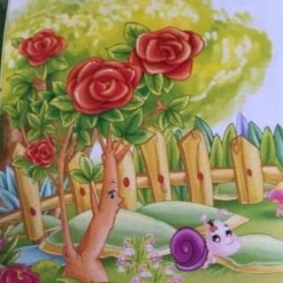 《安徒生童话》之《蜗牛和玫瑰树》