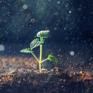 【3小时深山细雨】真实的下雨声白噪音，让你快速放松身心 解压放松治愈失眠