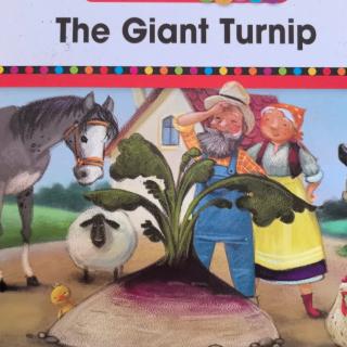 The giant turnip