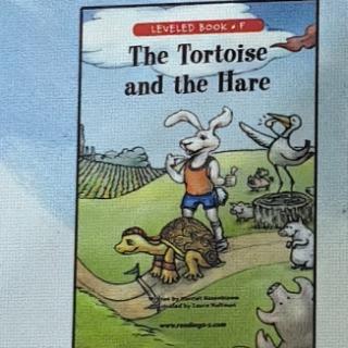 Tortoise and the Hare