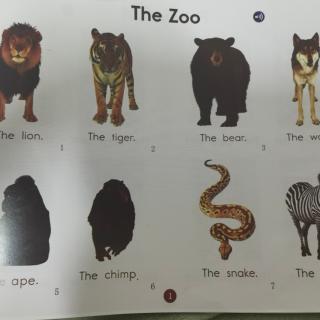 The zoo-AA