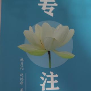 《专注》P161