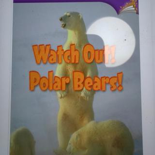 Watch Out! Polar Bears