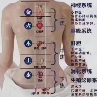 袁媛老师讲肩周炎调理手法