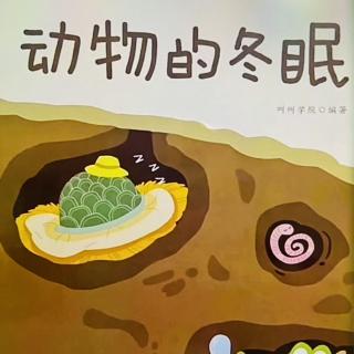 绘本《动物的冬眠》