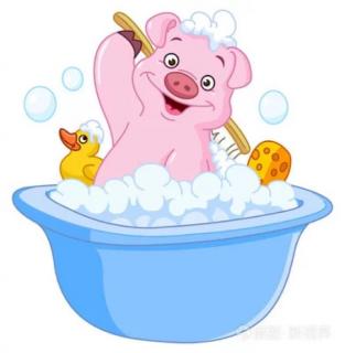 故事3332《不洗澡的小猪》