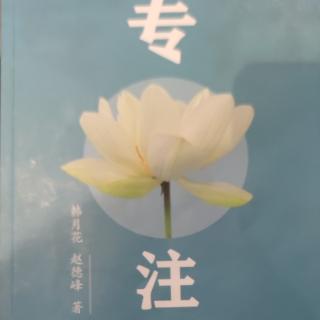 《专注》P171