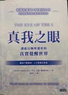 《真我之眼》57、第20章:二元性与非二元性