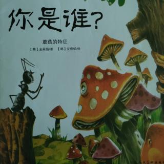 七田阳光绘本馆《你是谁？》