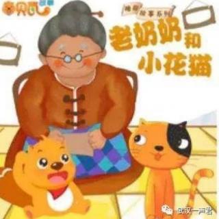 《老奶奶和小花猫》