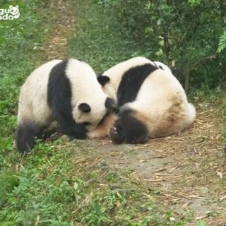 白门柳第三部鸡鸣风雨第十一章7及点评