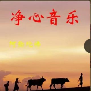 静心音乐 | 治愈 或许能让你醍醐灌顶的音乐2