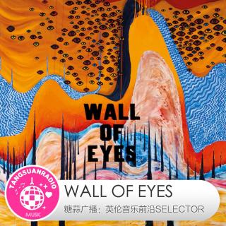 Wall Of Eyes·糖蒜爱音乐之The Selector