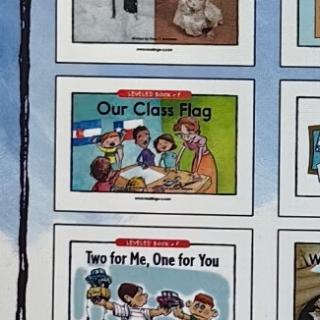 Our Class Flag