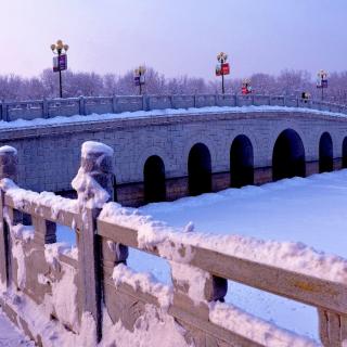 美丽石河子的雪景