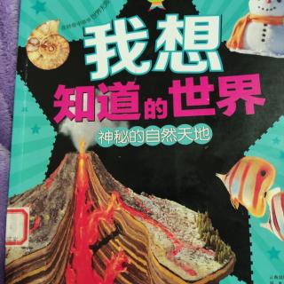 我想知道的世界