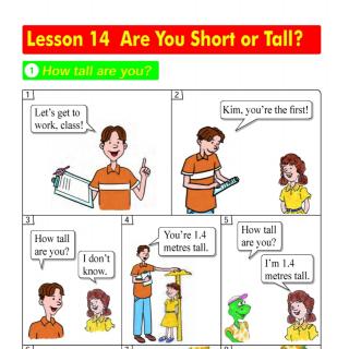 Lesson 14 Are you Short or tall？