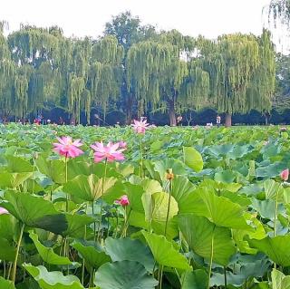 4《惜福福常在  隨緣緣自來